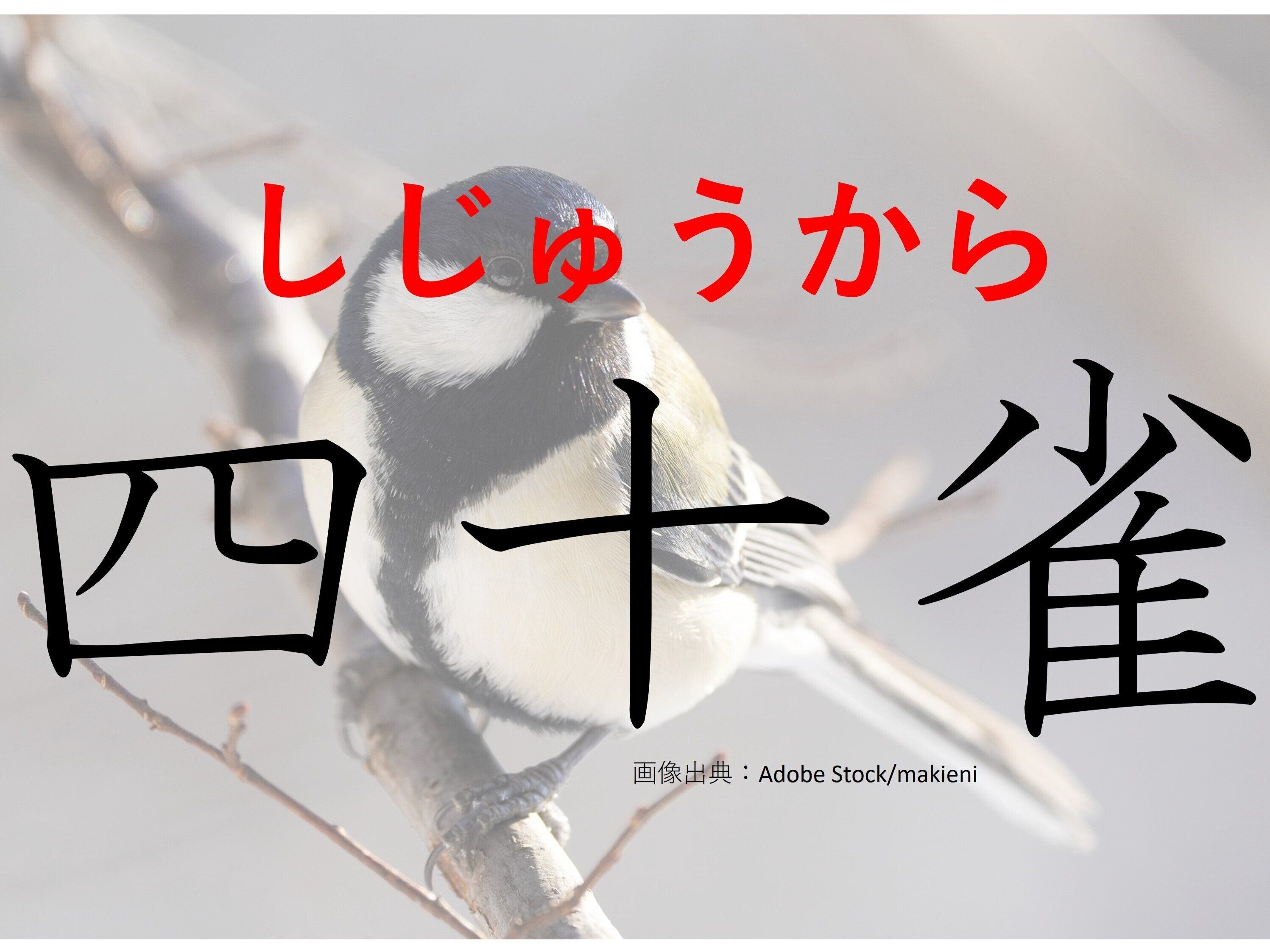 【難読漢字クイズ】かわいさも40倍？「四十雀」はなんて読む？