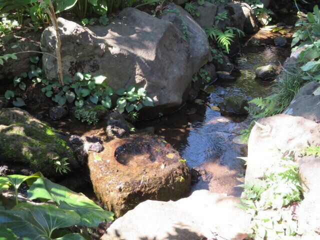 この夏は蚊を家に持ち込まない！刺されない！注意したい場所と時間帯