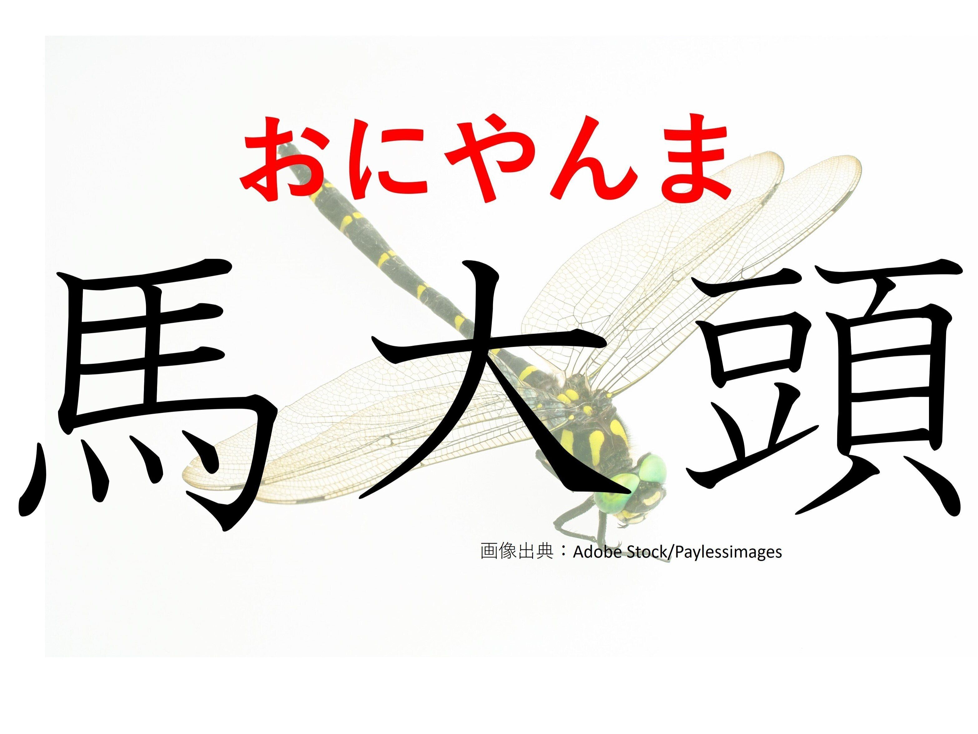 変わったところで人気！難読漢字「馬大頭」はなんて読む？