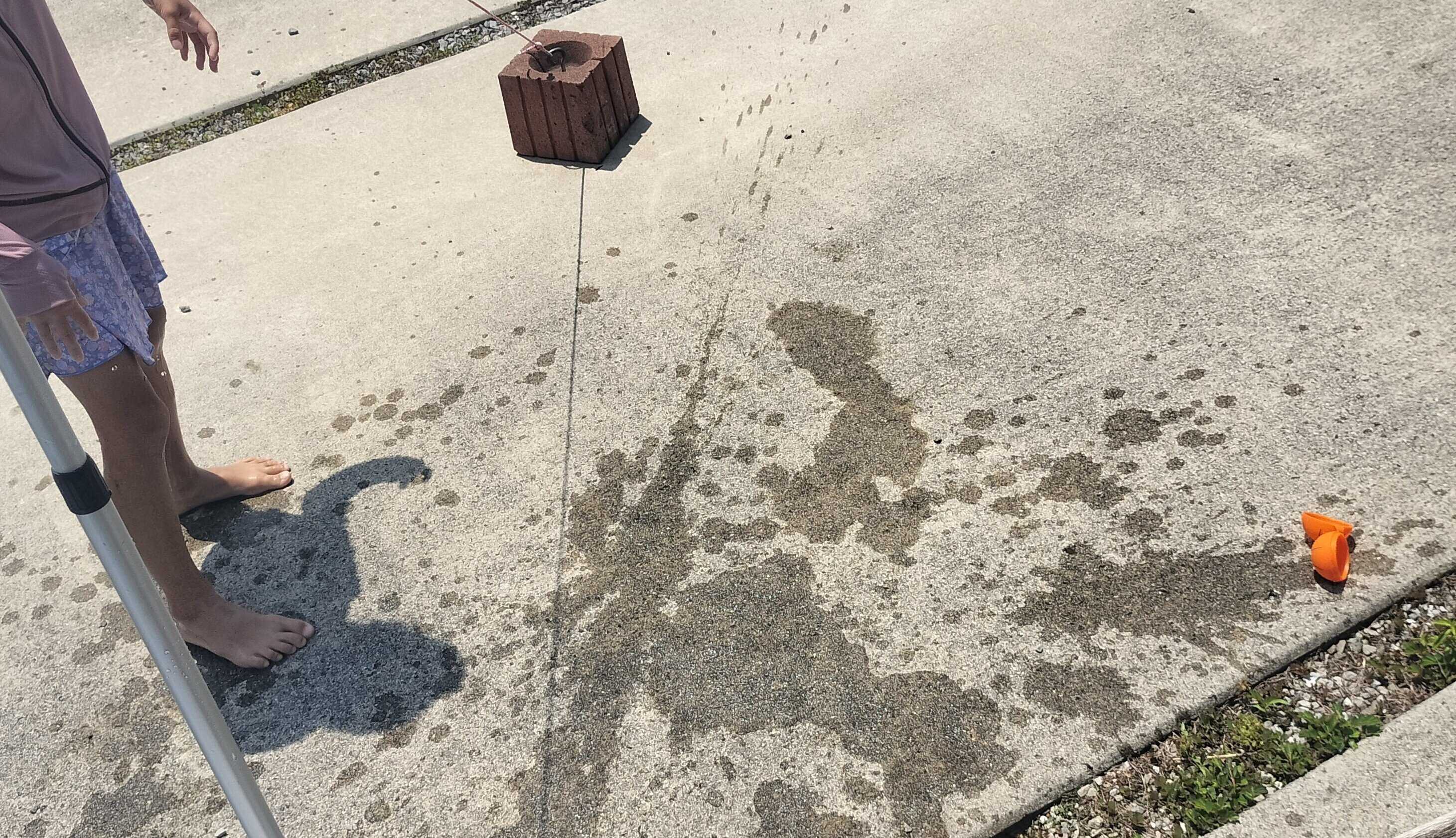 地面に投げて遊ぶこともできる