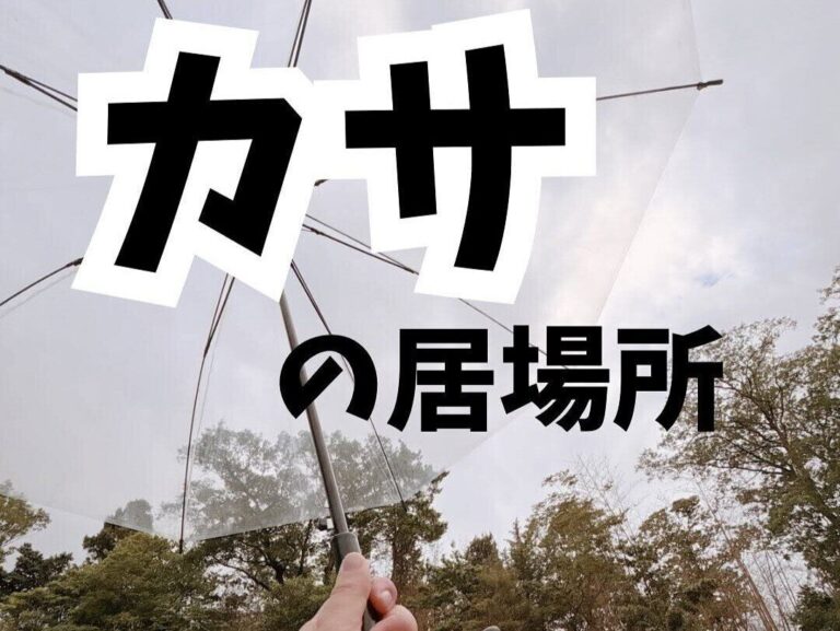 カサの居場所！【セリア】「傘が肩掛けできる!?」「3本入る！」雨の日に使いたい超便利アイテム2選