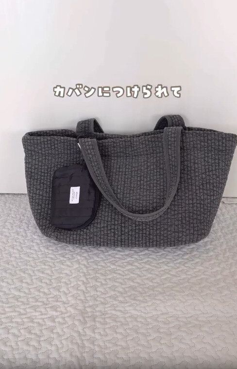 【ダイソー】カラビナでカバンやリュックに外付けできる