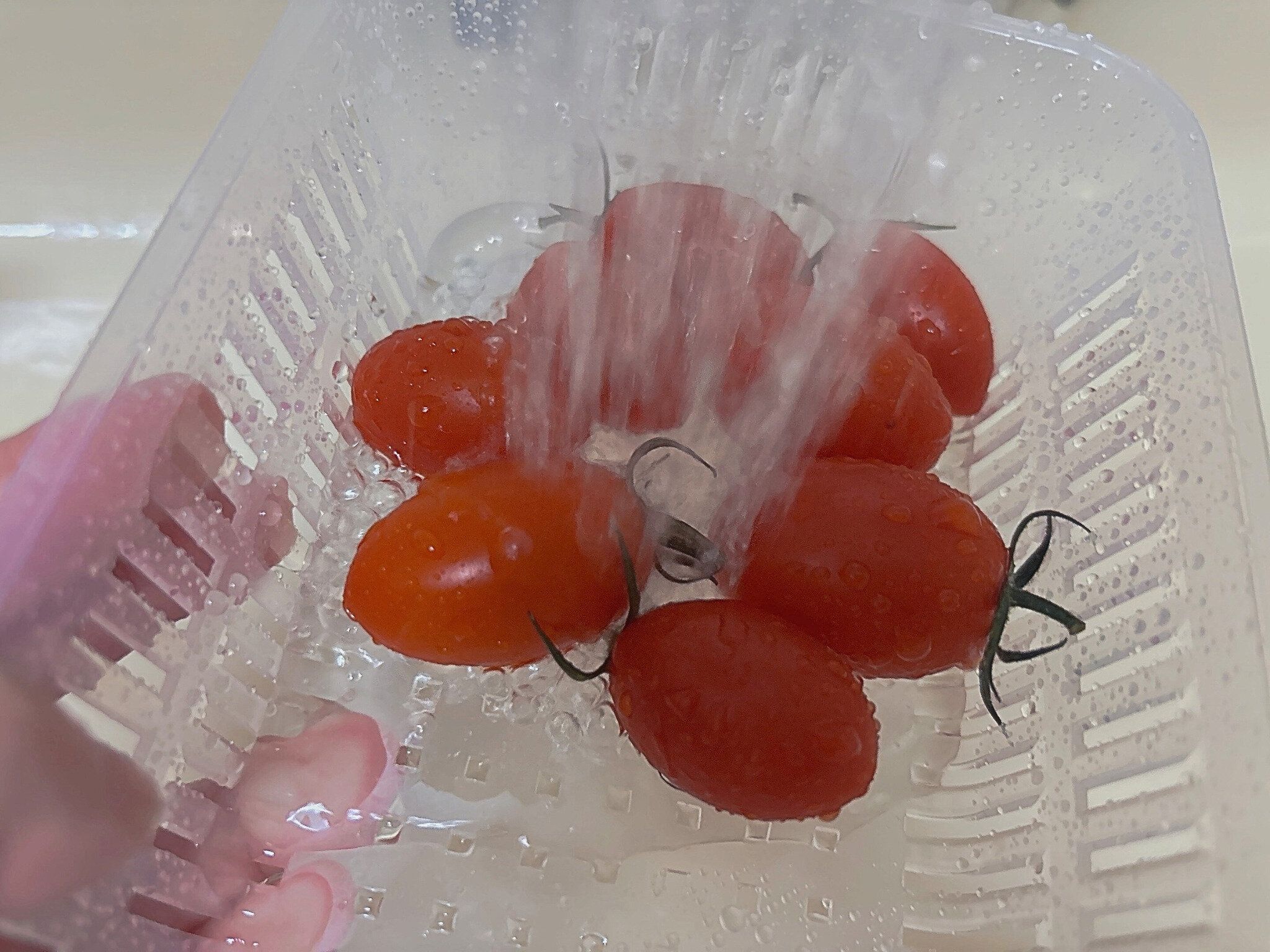 ダイソーザル付き容器