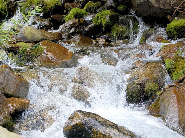 Q1.お水は安全？浄水器とどう違うの？