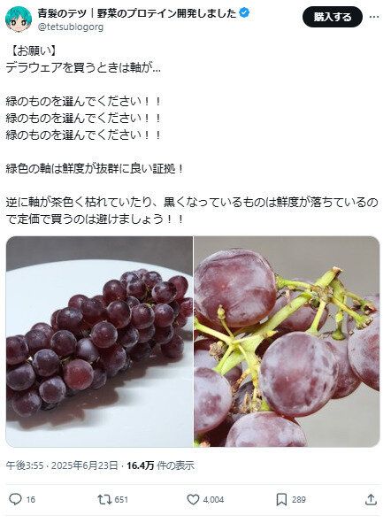 デラウエアの選び方