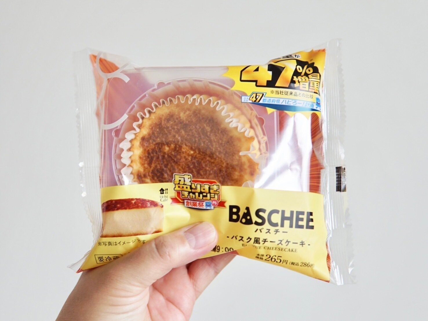 盛りすぎ！バスチー　−バスク風チーズケーキ−