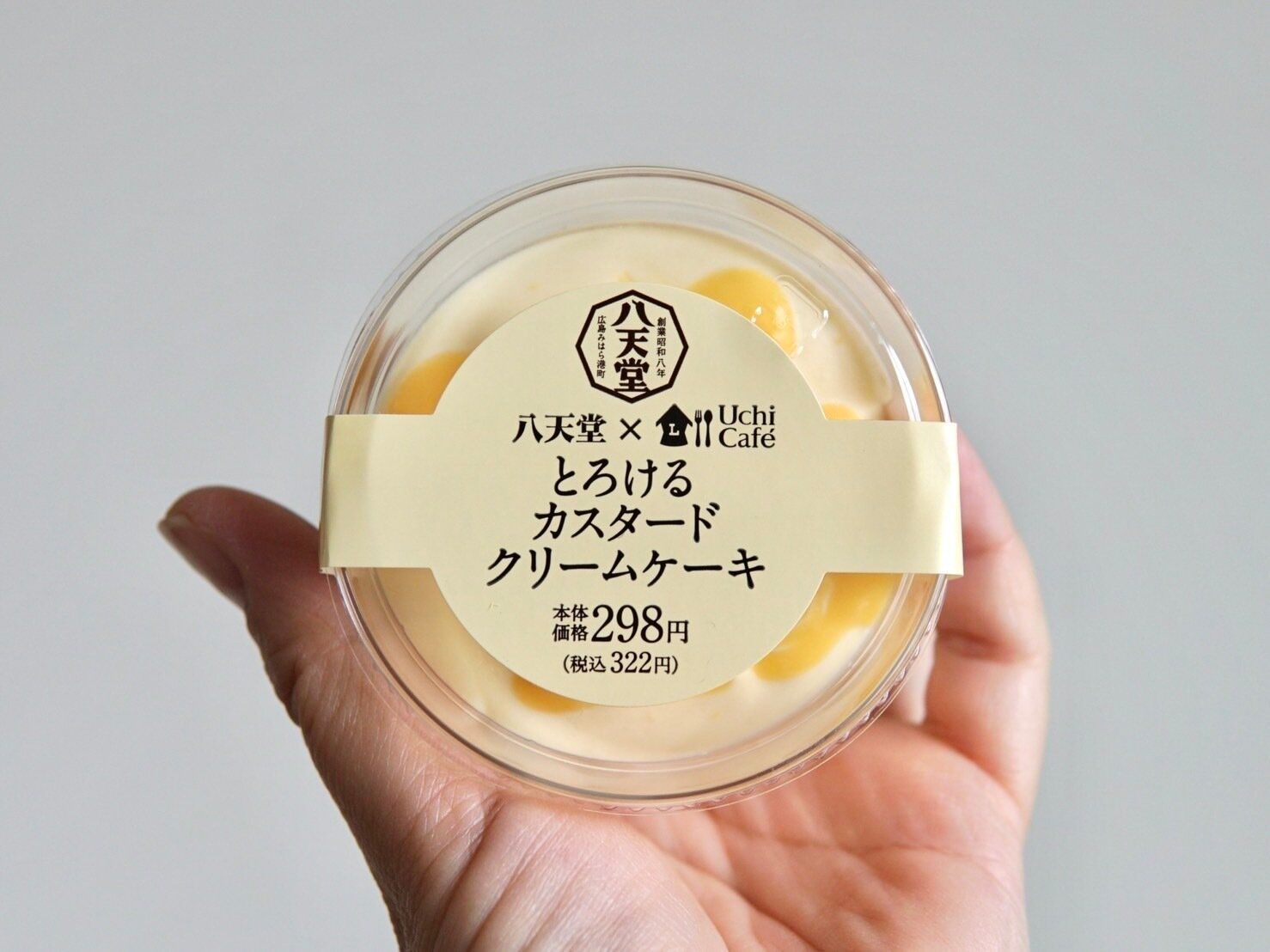 とろけるカスタードクリームケーキ