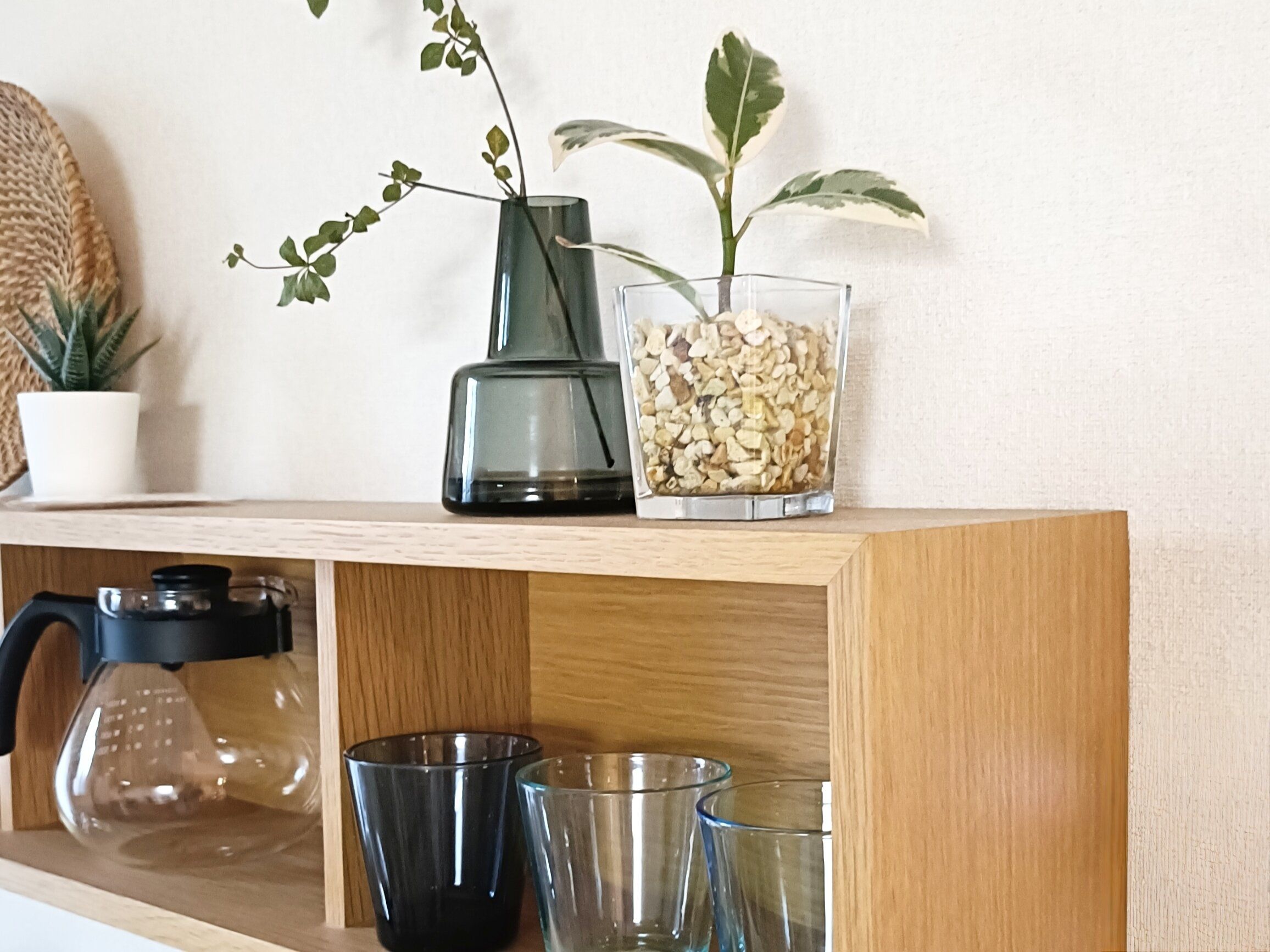 涼しげなガラスの器、植物