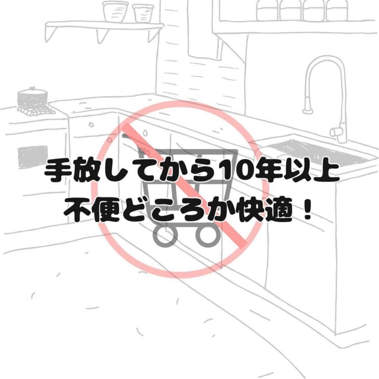 手放してから10年以上経過…不便どころか快適！キッチンがキレイな家に住む人が買わないもの