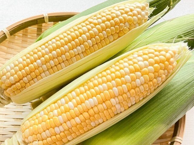 とうもろこし