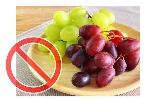 ぶどうはNG