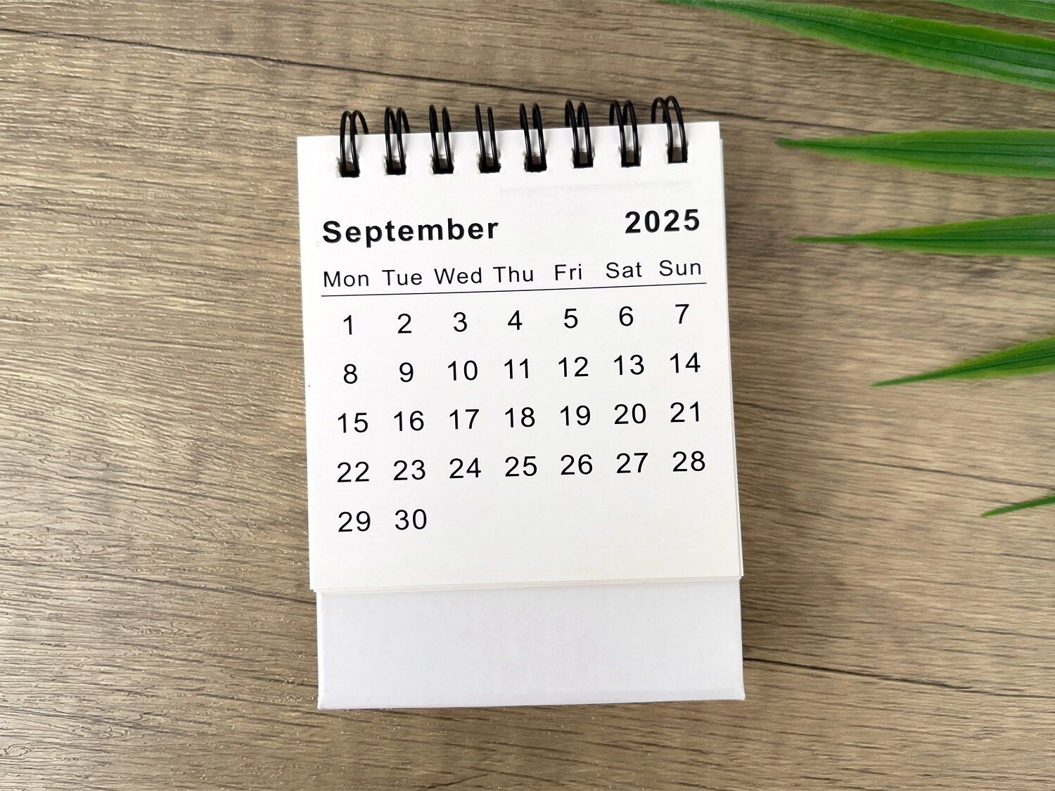 9月の開運風水 2025 【Dr.コパの風水解説】