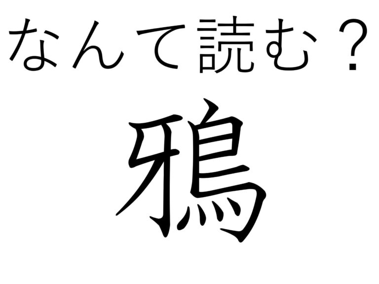 【難読漢字クイズ】かしこいけれどちょっと迷惑!?「鴉」はなんて読む？