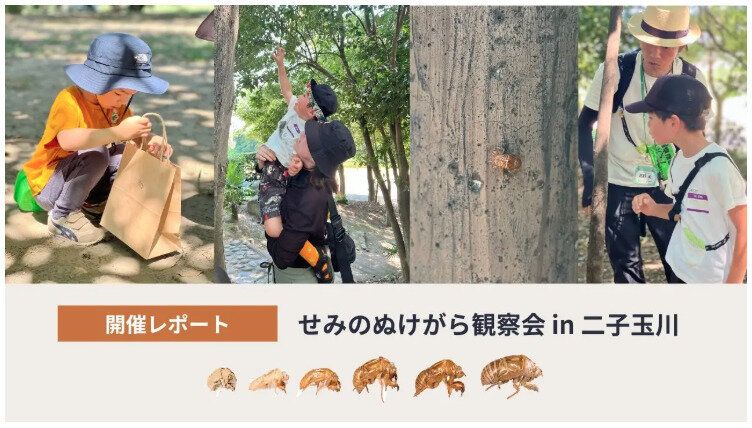 Topic3.【開催レポート】インセクトマーケットワークショップ「せみのぬけがら観察会」