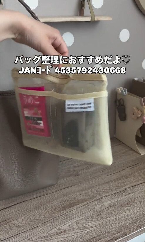 想像以上によかった…!「バッグインバッグ」