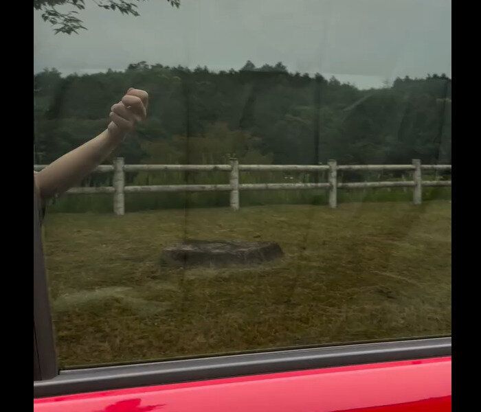 【ダイソー】リピ確定!マグネットカーテン