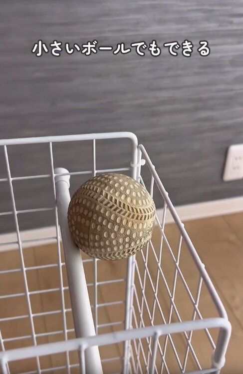 【ダイソー】突っ張り棒で小さなボールも取りやすくする