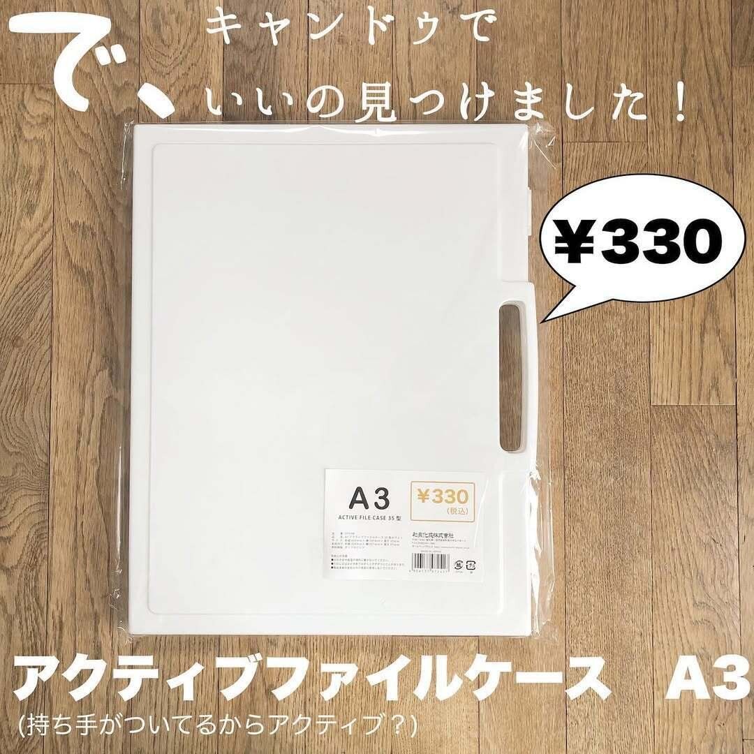 【キャンドゥ】いいの見つけた！作品収納にぴったりなファイルケース