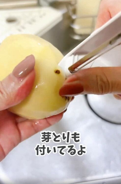 【セリア】シンプルデザインなのに芽とりもできる