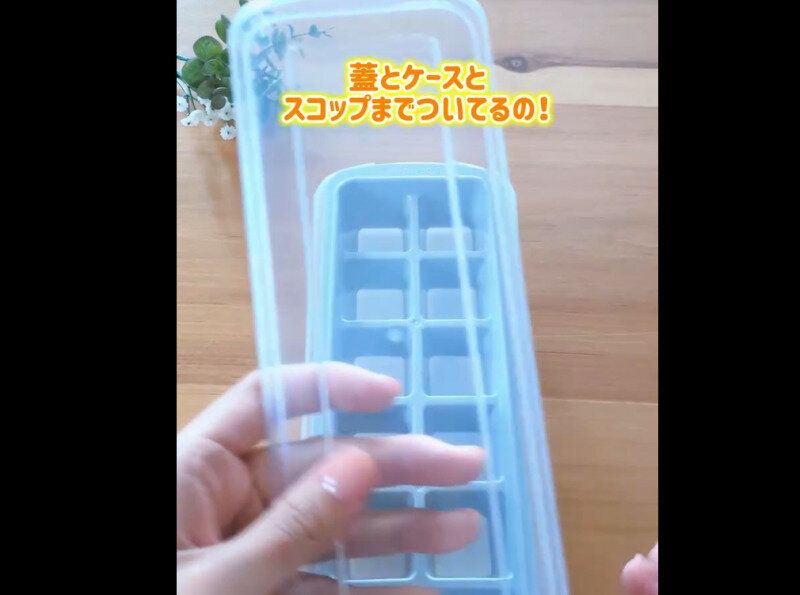 【ダイソー】売り切れ注意！アイストレー