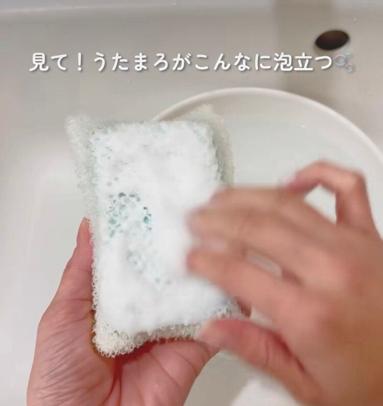 石けん用スポンジ