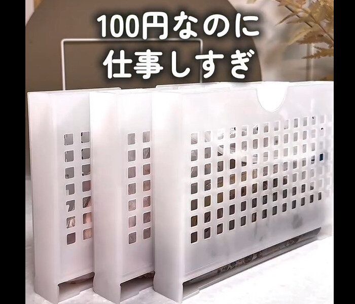 【ダイソー】110円なのに仕事しすぎ!フリーザー立て収納ケース
