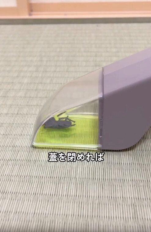 【3COINS】さっと捕まえられて最高すぎた！