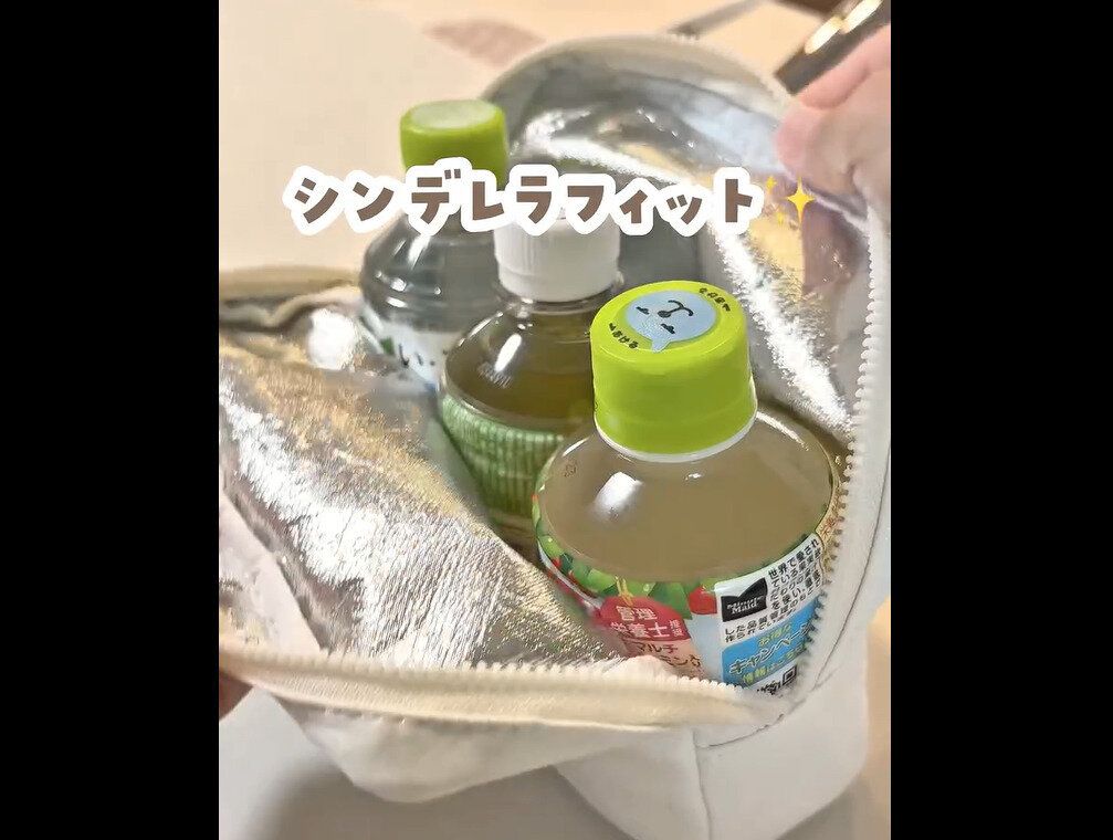 【3COINS】最高だった！保冷ポーチ