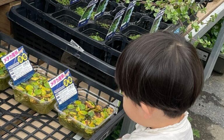 ママと買い物中、商品は「触らないで見ようね」と約束した2歳息子。一生懸命触らないように両手を隠す様子に「尊すぎて泣ける」「健気で愛おしい」と23万人が感動