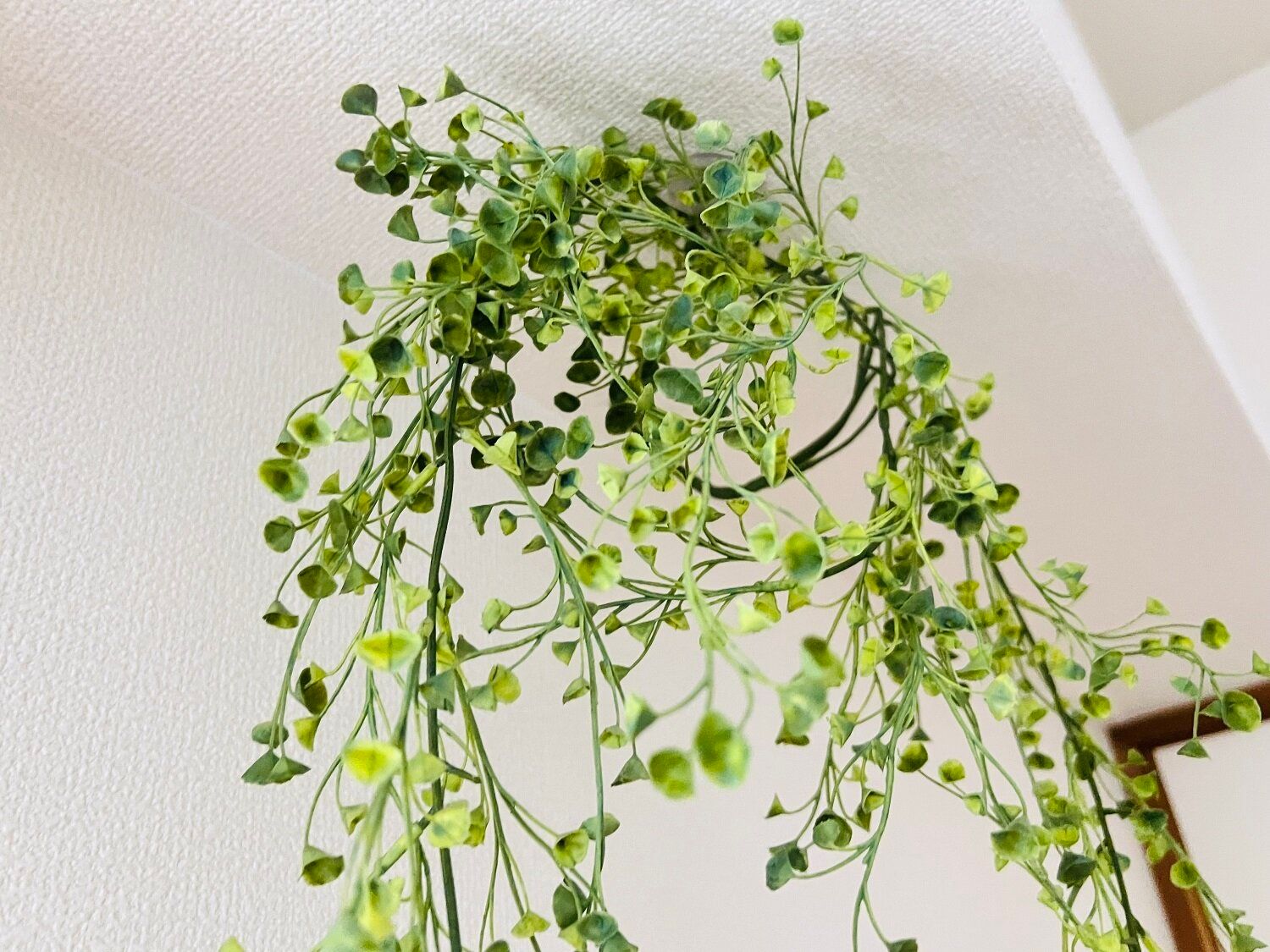 ダイソーで見つけた「きれいにはがせる天デコフック」は優れもの!