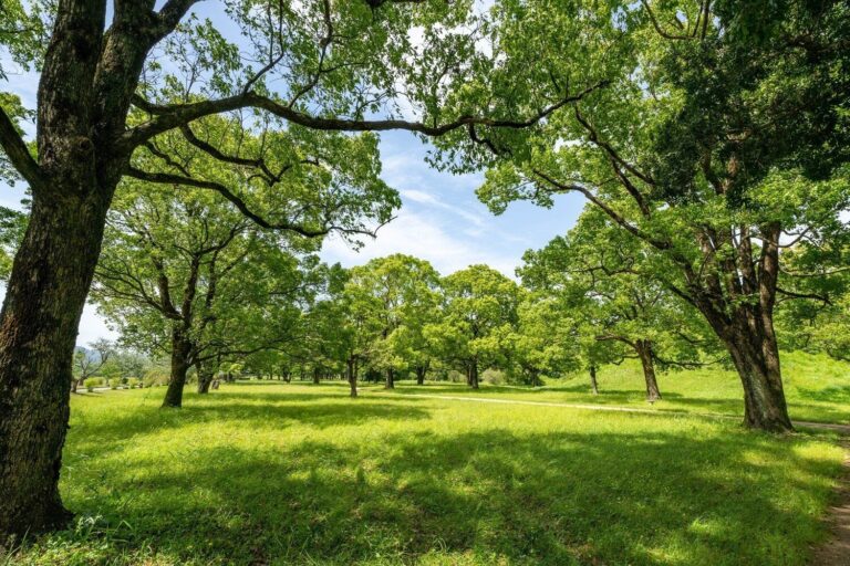 貯まらない人・貯まる人の差は休日の“昼”にあった！