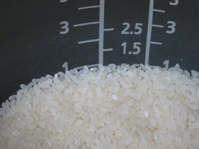 気をつけること