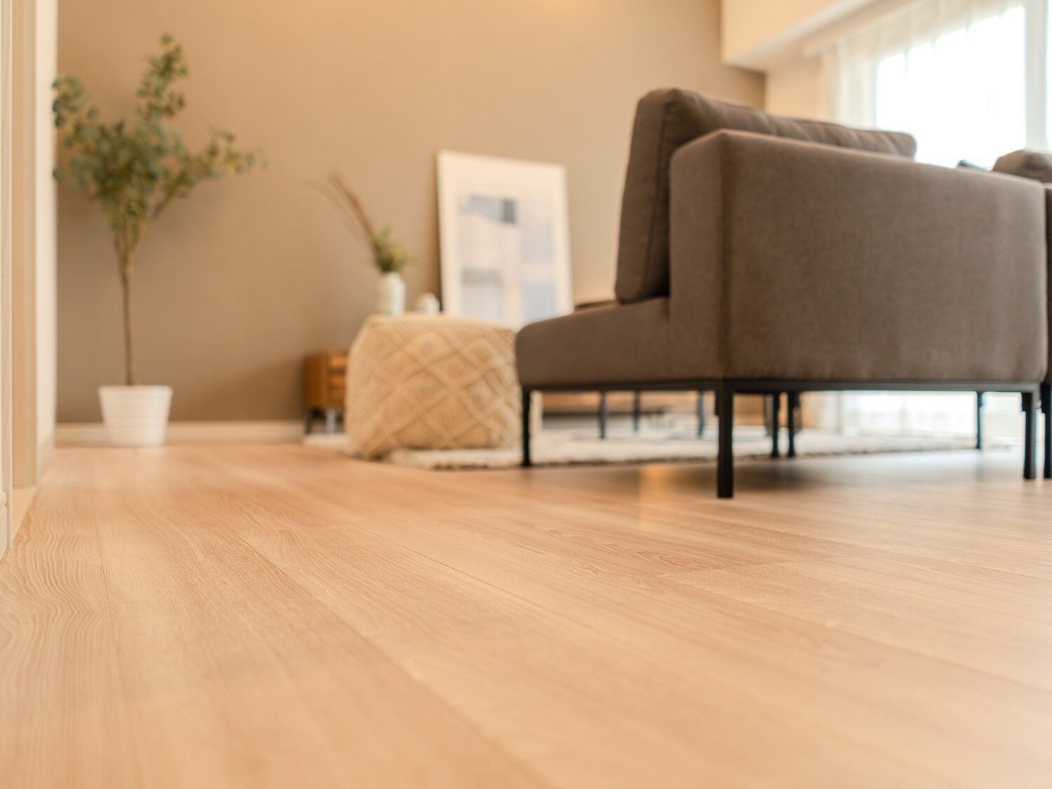 来年の春に出遭わないために…秋のゴキブリ対策がモノを言う!