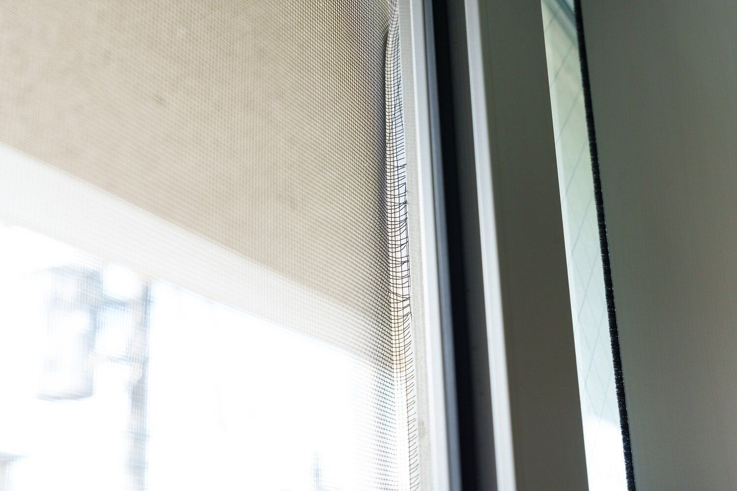 来年の春に出遭わないために…秋のゴキブリ対策がモノを言う!