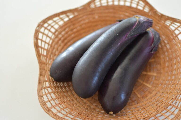 旬のナスを買ったら絶対やって！管理栄養士が教えるナスの1番おいしい食べ方