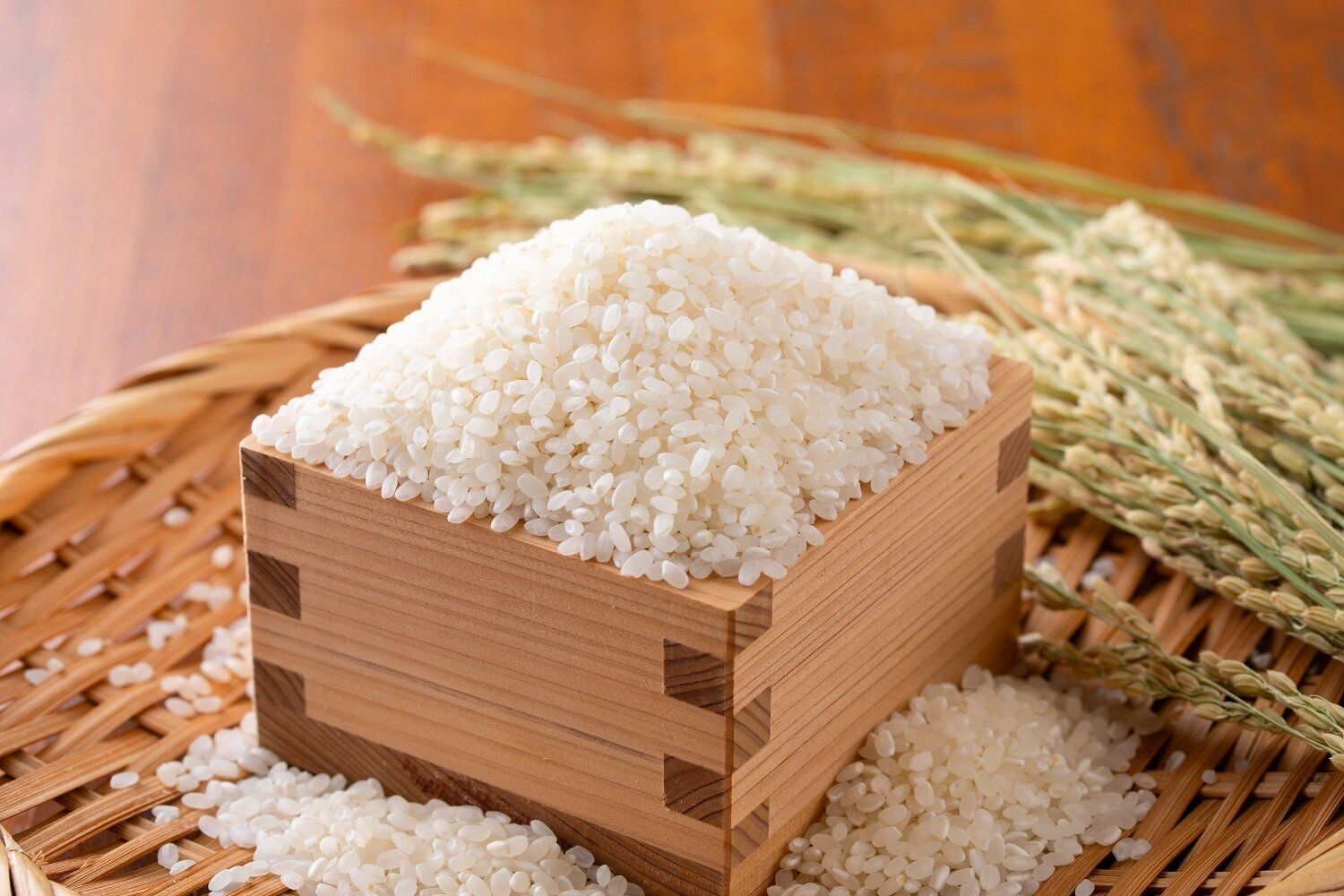 お金持ちはみんな買っていた!秋の「実り財布」の特徴は?何色がいい? 【Dr.コパの風水解説】