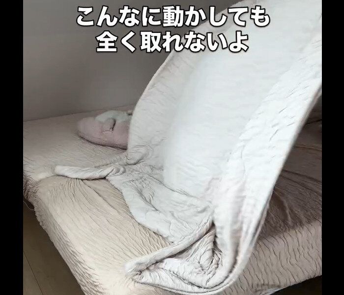【ダイソー】ズレない魔法！布団クリップ