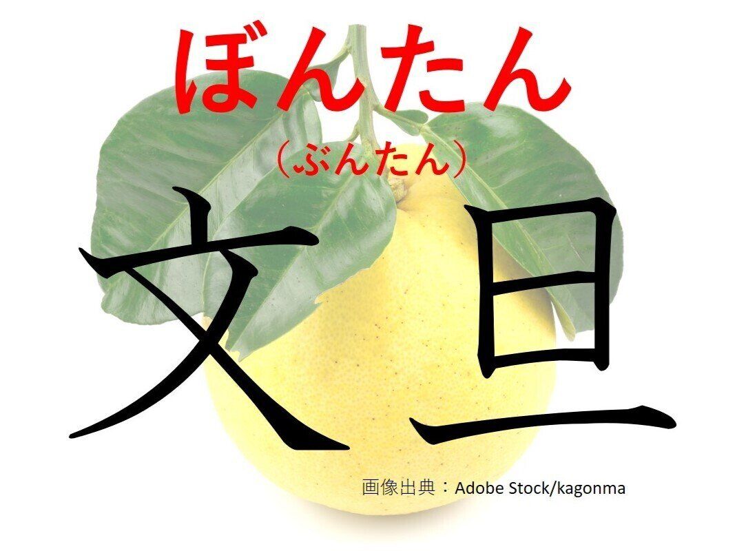【難読漢字クイズ】なつかしいのにブームの兆し?「文旦」はなんて読む?