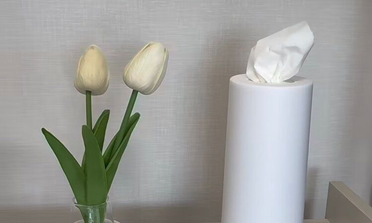 早く知りたかった！【セリア】「万能すぎるアイテム」「おしゃれに変身」おすすめアイテム5選