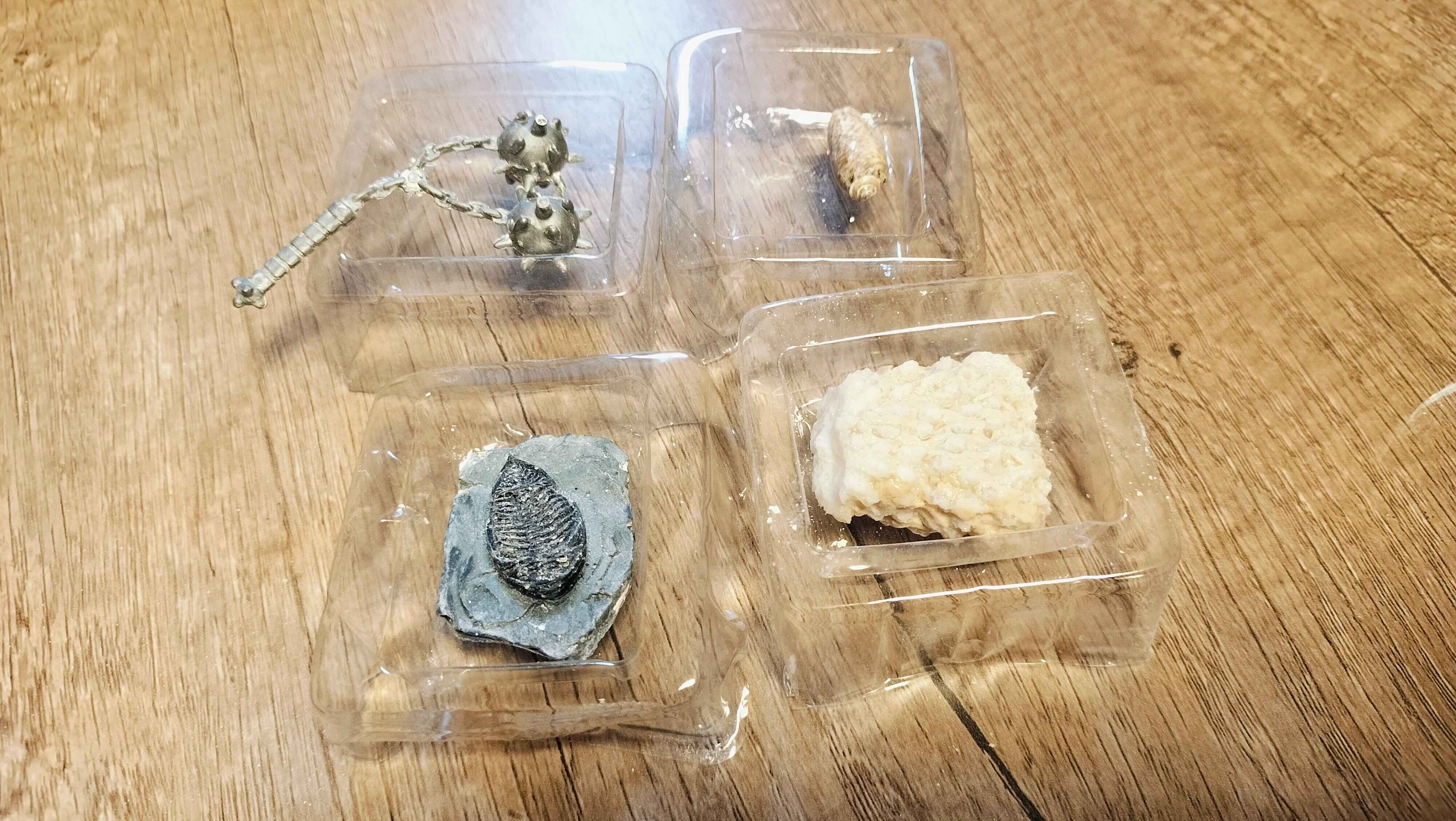 全て発掘できました