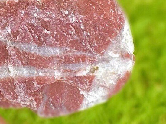 石なのに「おいしそう」!?5歳息子が幼稚園で見つけたママへのプレゼント。奇跡のビジュアルで12万いいね