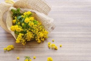 2026年のラッキーカラーはこの5色！ 洋服、持ち物、雑貨、タオル…に使えば使うほど運気が上がる【Dr.コパの風水解説】