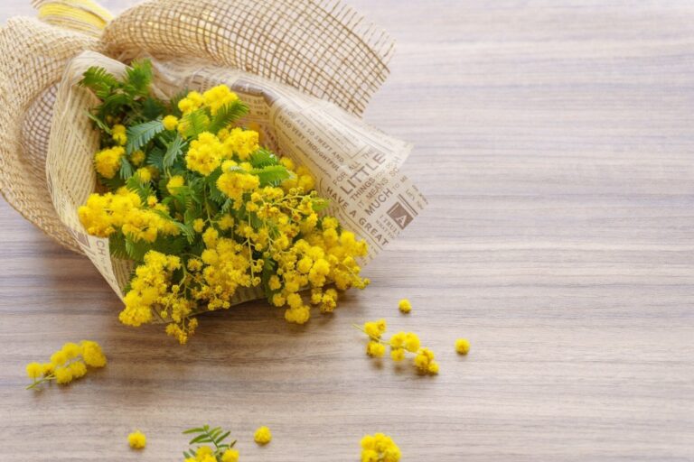 2026年のラッキーカラーはこの5色！ 洋服、持ち物、雑貨、タオル…に使えば使うほど運気が上がる【Dr.コパの風水解説】