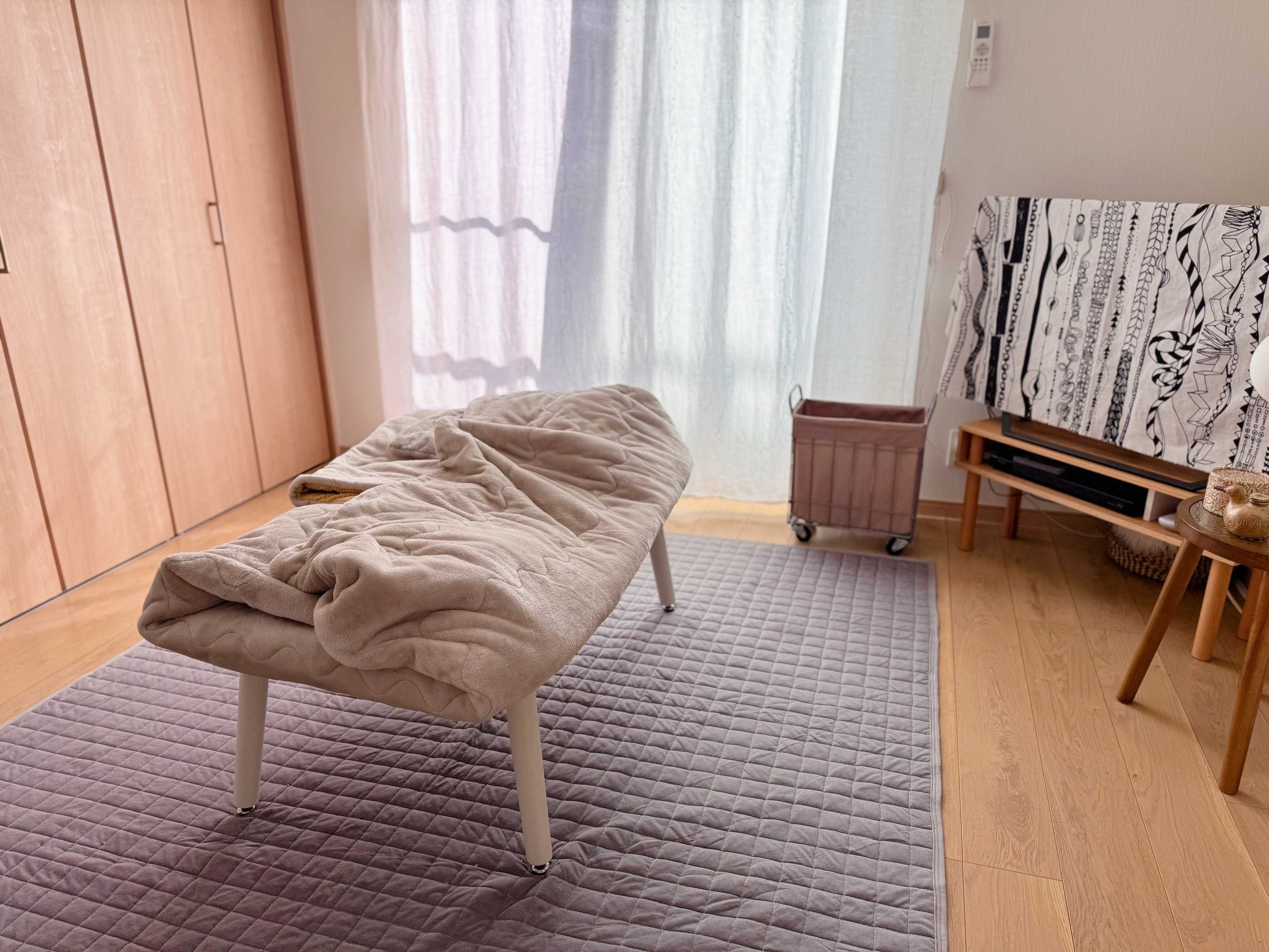 デメリットは「掃除と洗濯が大変なこと」