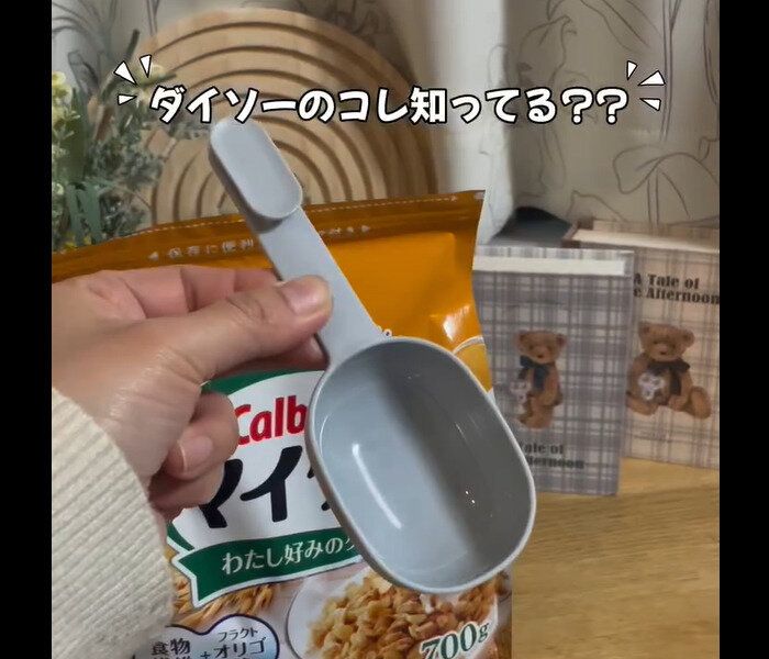 【ダイソー】隠れた名品!チャック袋スライダー付きシリアルスプーン