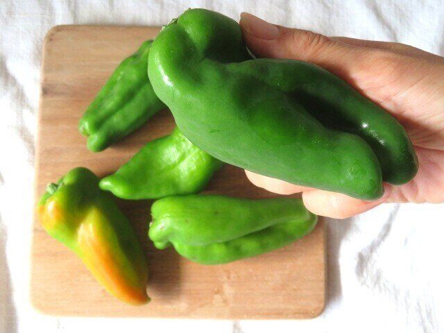 規格外のものも買う