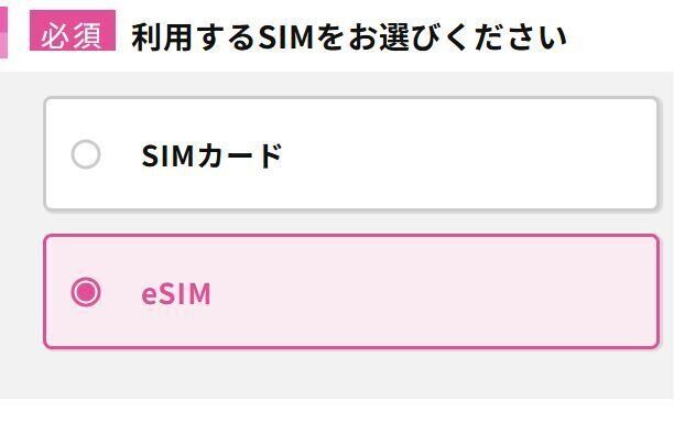 乗り換えはオンラインで完了&eSIMなら即日開通