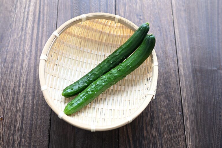 きゅうりは冷凍保存できる!?実際に試してみたらまさかの結果に