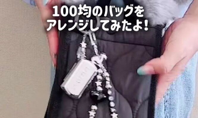 試して欲しいバッグアイデア！【ダイソー】「使い方が画期的」「ペンライトがすっぽり」おすすめバッグ2選