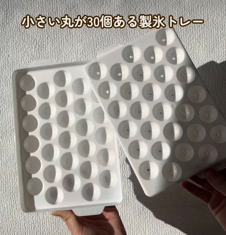 手作りシャーベット